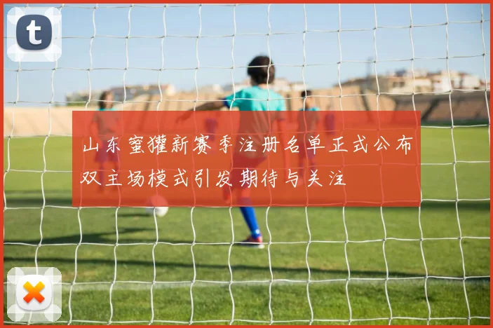 山东蜜獾新赛季注册名单正式公布双主场模式引发期待与关注