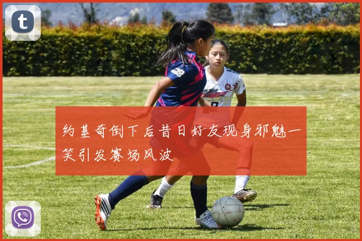约基奇倒下后昔日好友现身邪魅一笑引发赛场风波