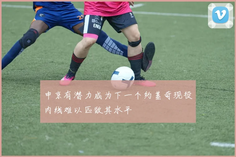 申京有潜力成为下一个约基奇现役内线难以匹敌其水平
